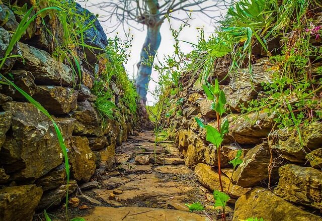 Akut kloakproblem? Sådan får du hurtig hjælp på sjælland