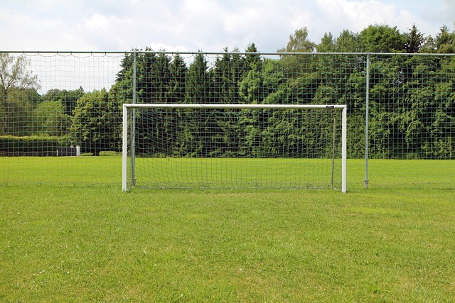 Fodboldmål fra Nordic Play: Perfekt til både børn og voksne med justerbar størrelse